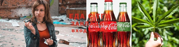 шишки Богородицк