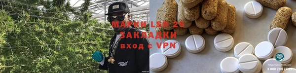 шишки Богородицк