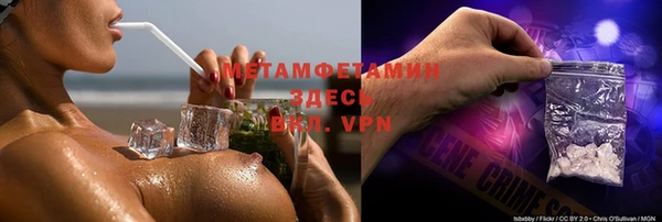 шишки Богородицк
