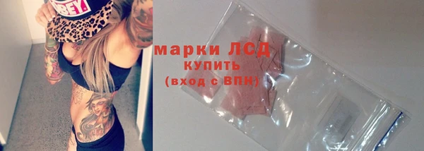 шишки Богородицк