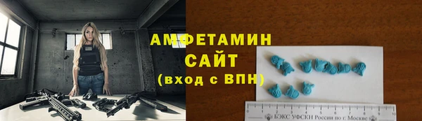 шишки Богородицк