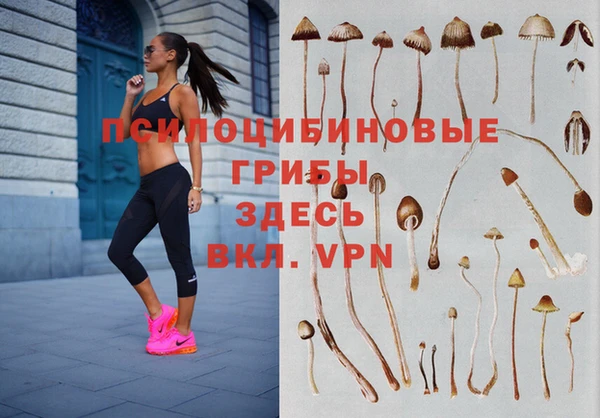 шишки Богородицк