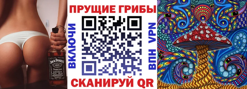 Псилоцибиновые грибы Psilocybe  Туран 
